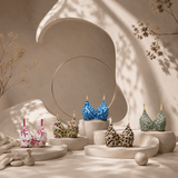 print Cotton Non-Padded Bras  Pack of 5